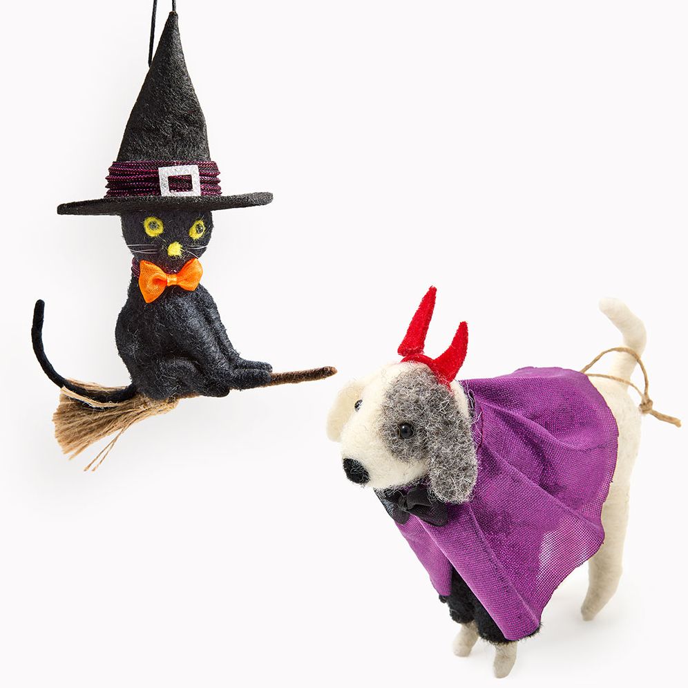 Assorted Felt Halloween Cat & Dog Critter