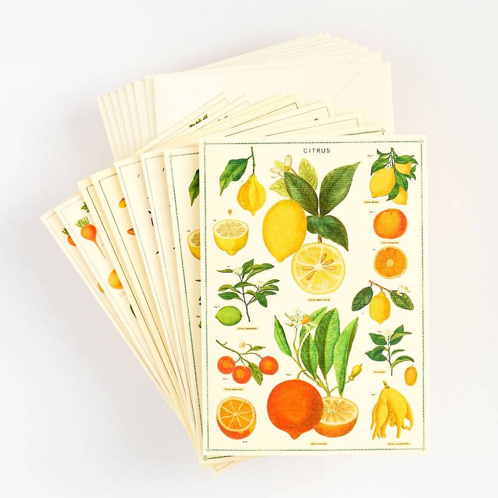 Jardin Stationery Set