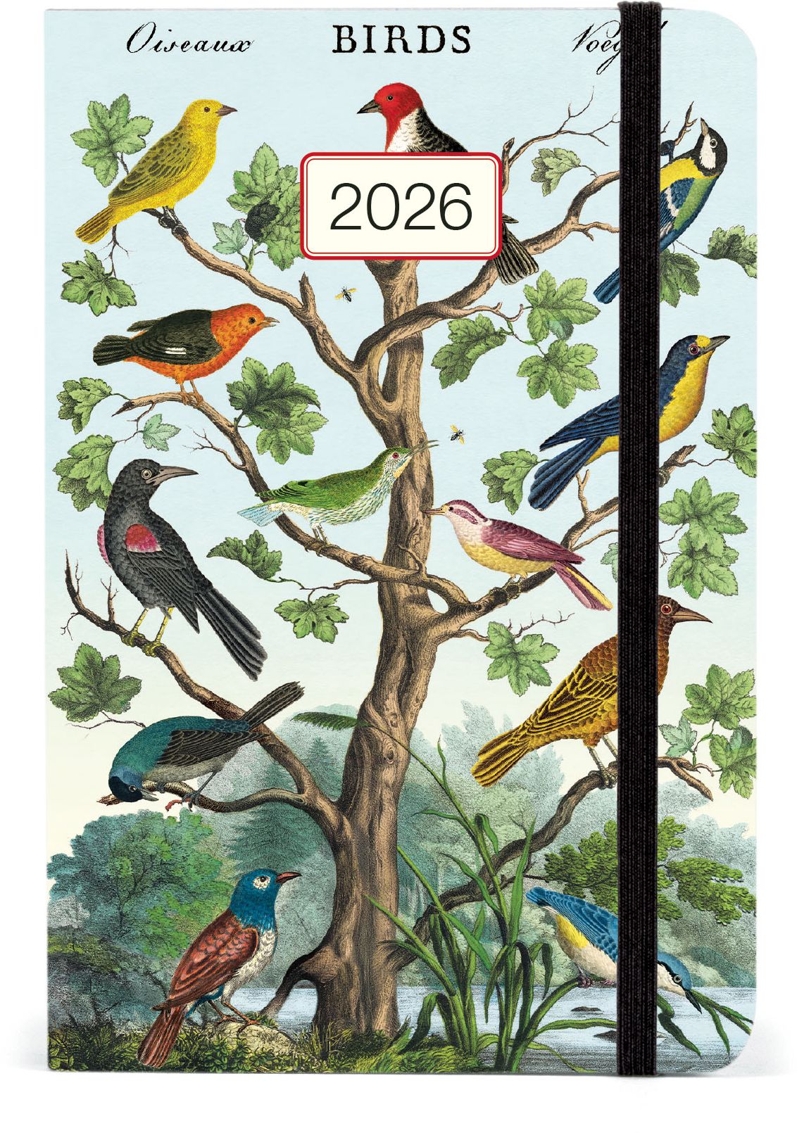 2026 Cavallini Birds Weekly Planner