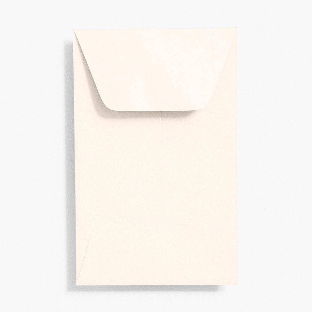 Luxe Cream Coin Envelopes
