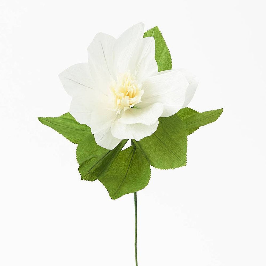 Christmas Rose Paper Flower
