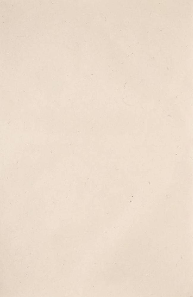Lokta Natural Handmade Paper