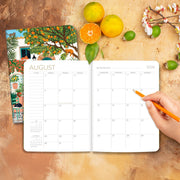 2026-2027 On the Bright Side Mediterranean Cats 17 Month Softcover Monthly Planner
