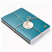 Teal Paper Wasp S/3 Notebooks