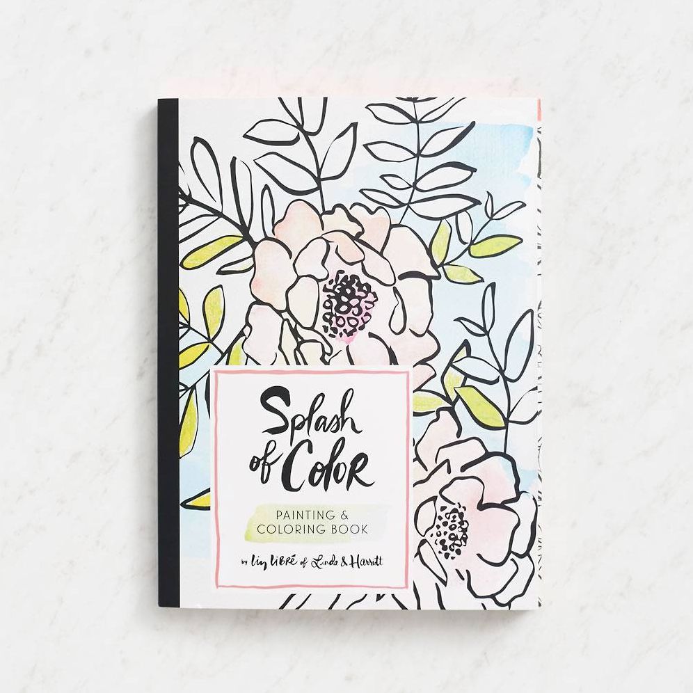 Splash of Color Painting & Coloring Book