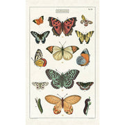 Butterflies Tea Towel