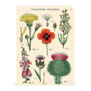 Wildflowers Mini Notebooks