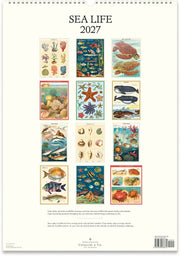2027 Sea Life Wall Calendar