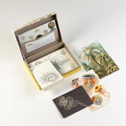 Art Forms in Nature Letter Writing Set