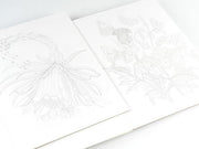 Natural History - Artists' Colouring Book