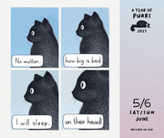 2027 A Year of Purrs Day-to-Day Calendar
